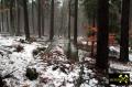 Findling 3 bei Haselberg nahe Wierzen in der Märkischen Schweiz, Brandenburg, (D) (9) 24. Januar 2016.JPG